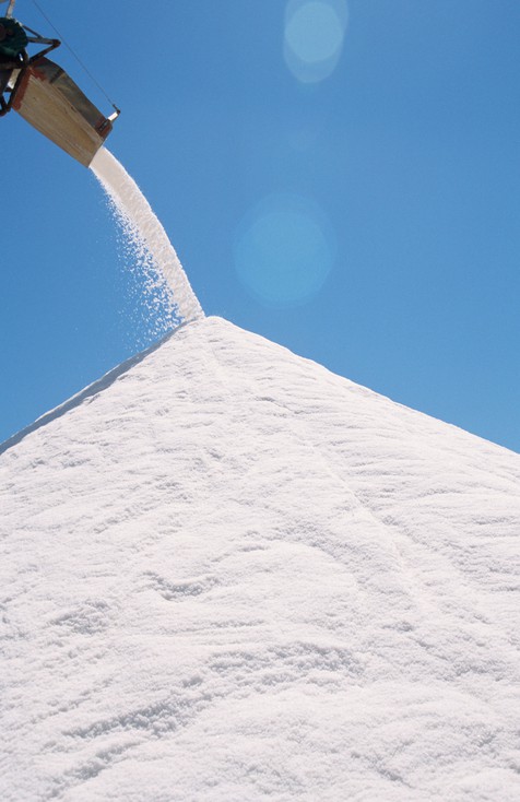Salt
